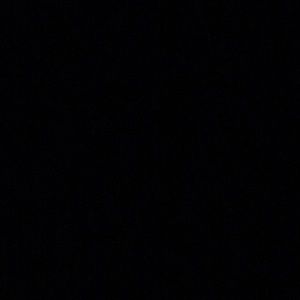 Meet your Posher, Jaden